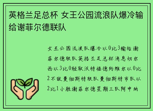 英格兰足总杯 女王公园流浪队爆冷输给谢菲尔德联队
